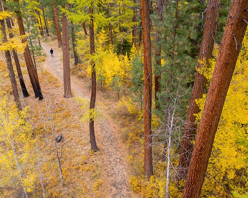 Sun-Lava Trail (Deschutes National Forest)