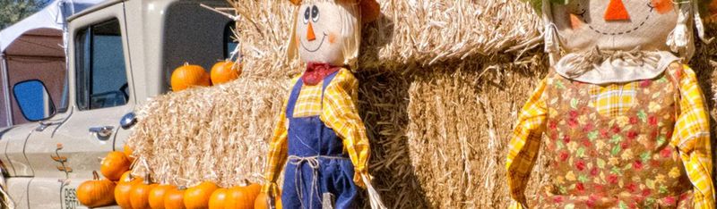 Annual Harvest Festival (November 22, 2025)