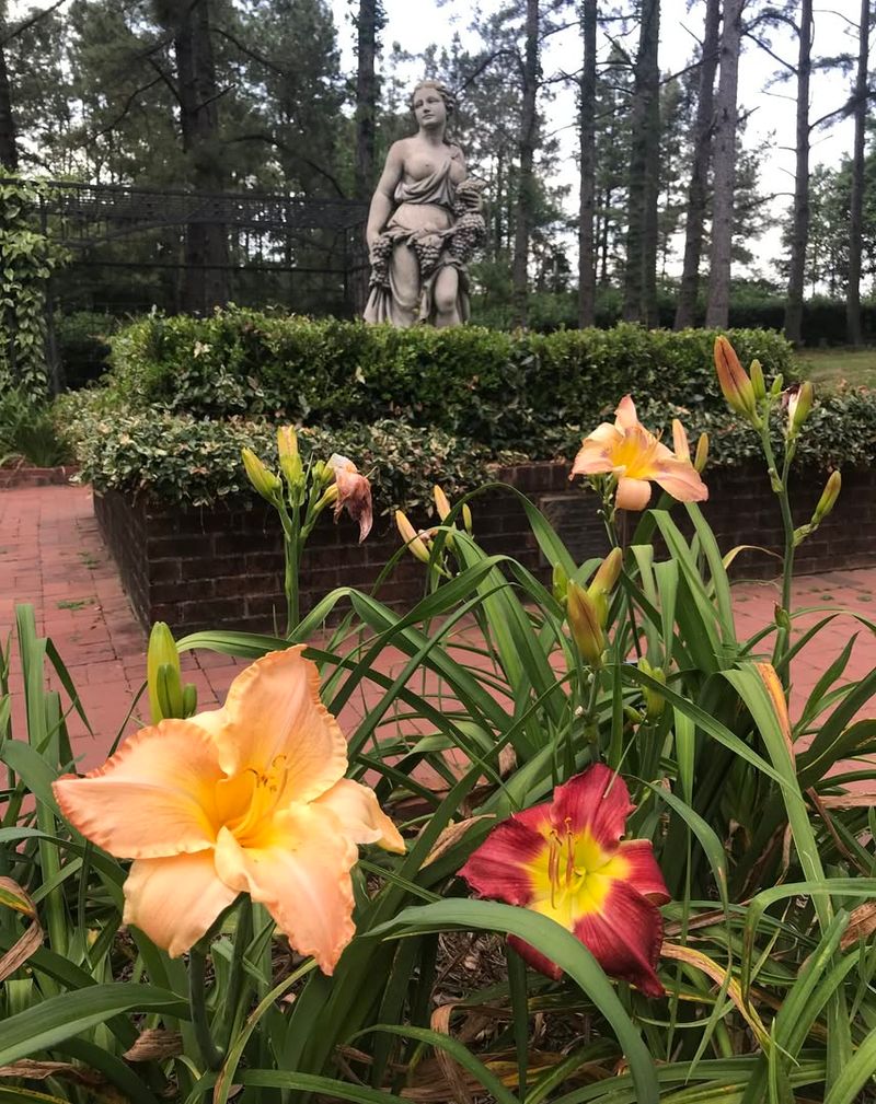 12 Must-Visit Alabama Maker Markets Celebrating Local Art And Creativity - Decor Hint Dothan Area Botanical Gardens Market - Dothan