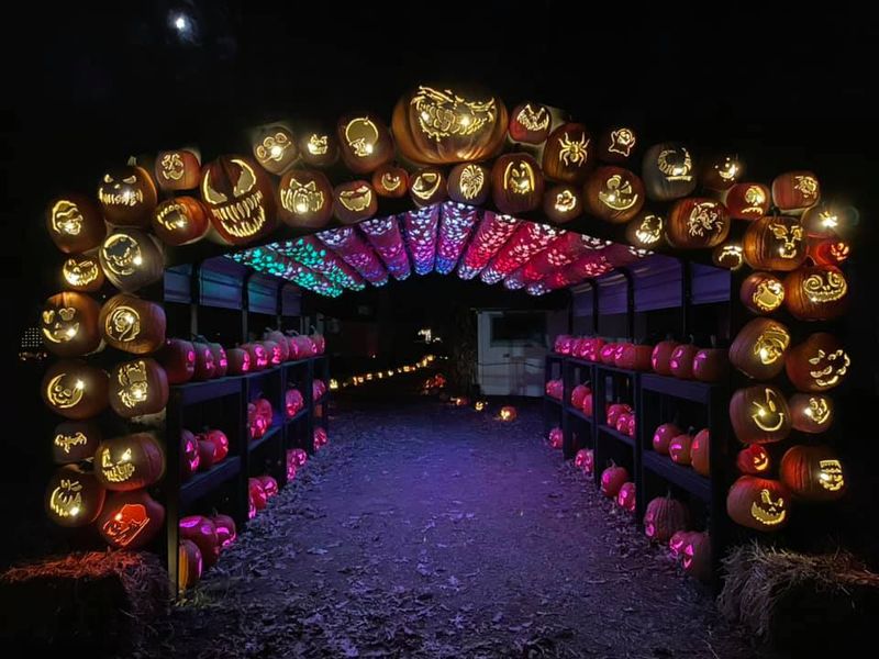 Pumpkin Archways And Pathway Lanterns