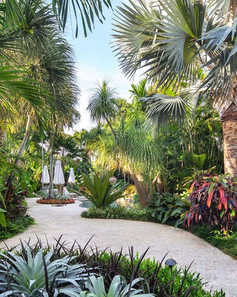 Desert Meets Tropics in Key West