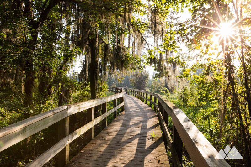 Augusta & The Phinizy Swamp Sanctuary
