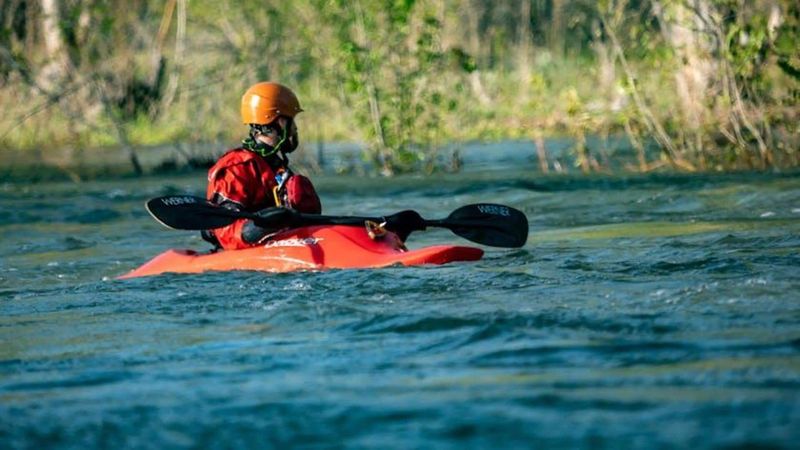 Kayaking Through Monterey Bay's Kelp Forests