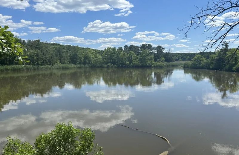 Escape The Crowds At These 16 Quiet Lakes In New Jersey - Decor Hint Hooks Creek Lake