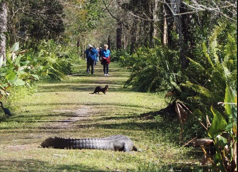 Wildlife Watching Opportunities