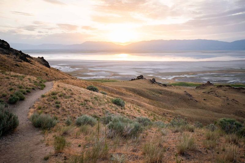 Utah's Gateway To Antelope Island Is A Lakeside Haven Of Bison, Trails, And Adventure - Decor Hint Welcome tTo Syracuse: Utah's Lakeside Gateway