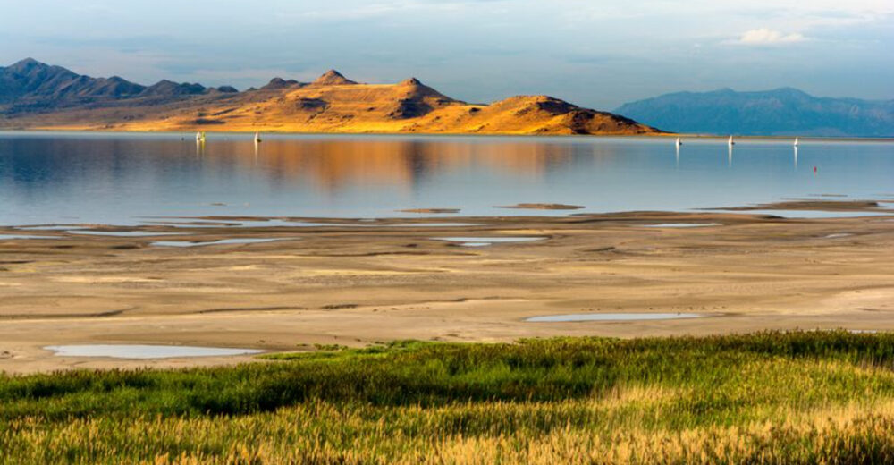 Utahs Gateway To Antelope Island Is A Lakeside Haven Of Bison Trails And Adventure - Decor Hint