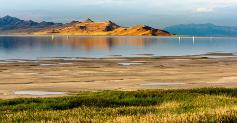 Utah’s Gateway To Antelope Island Is A Lakeside Haven Of Bison, Trails, And Adventure