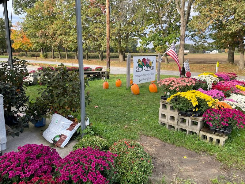 Vermont Grocery Stores Known For Fresh Pumpkins And Fall Produce - Decor Hint Sam Mazza's Farm Market - Colchester