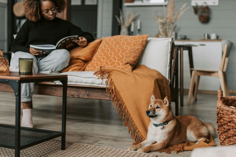 28 Secrets Of People Who Always Have A Stylish, Put-Together Home - Decor Hint They Refresh Their Home Seasonally