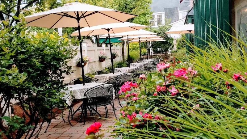 Virginia Italian Restaurants That Feel Like A Local Secret - Decor Hint Osteria Avanti in Richmond