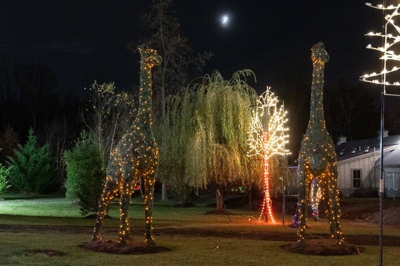 10 Family Activities To Enjoy In New Jersey This Winter - Decor Hint Experience Turtle Back Zoo's Winter Wonders