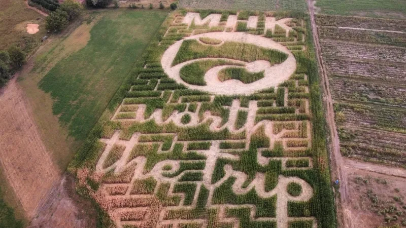 A&H Farm, Manhattan