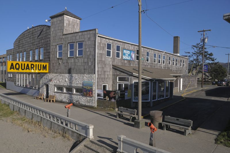 Explore The Charming Coastal Town That Marks The End Of The Oregon Trail - Decor Hint Seaside Aquarium