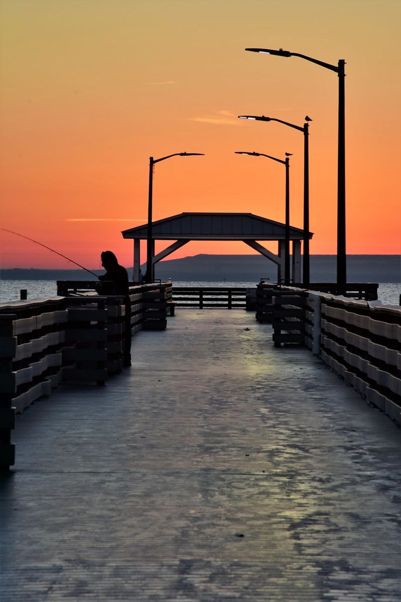 Outdoor Activities To Enjoy In Tampa With Friends Or Family - Decor Hint Fishing from Ballast Point Pier