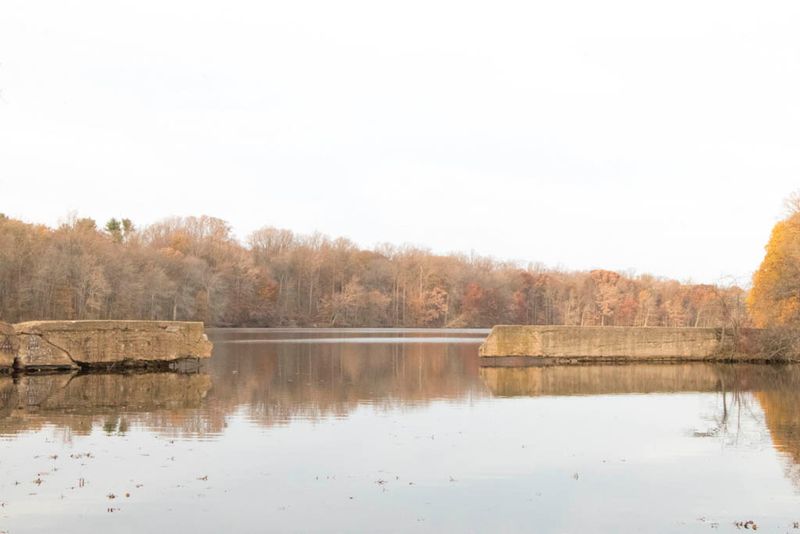 Escape The Crowds At These 16 Quiet Lakes In New Jersey - Decor Hint Farrington Lake
