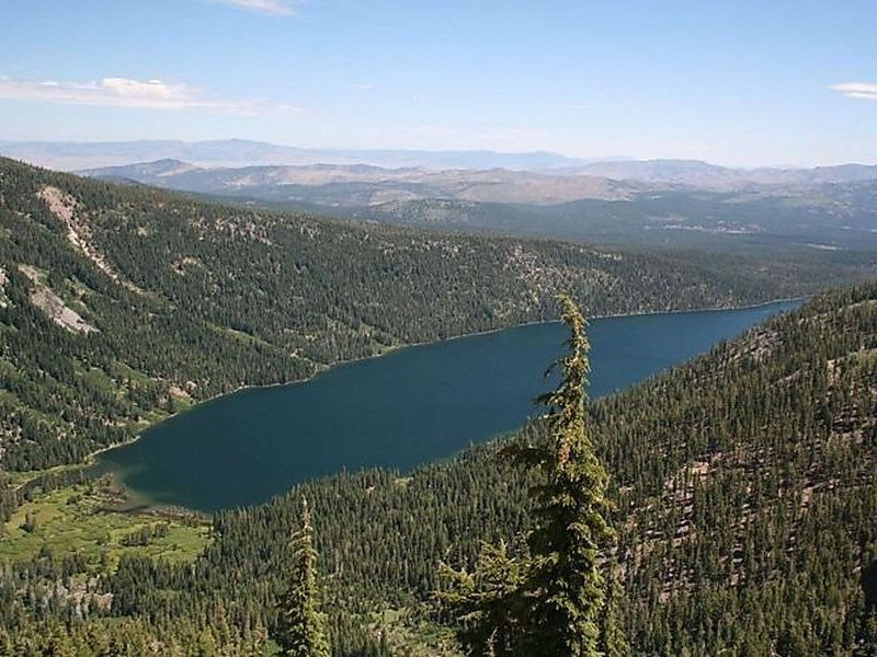 The Role Of The Nature Conservancy