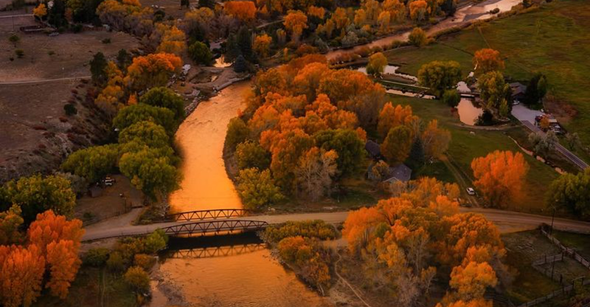 Where To Catch The Last Fall Colors In Colorado Before They're Gone - Decor Hint Where To Catch The Last Fall Colors In Colorado Before Theyre Gone - Decor Hint