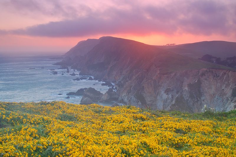 Point Reyes National Seashore