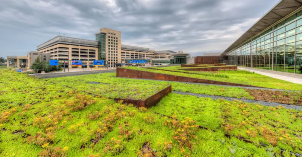Why Minneapolis Saint Paul International Airport In Minnesota Is Ranking Among The Best In America - Decor Hint