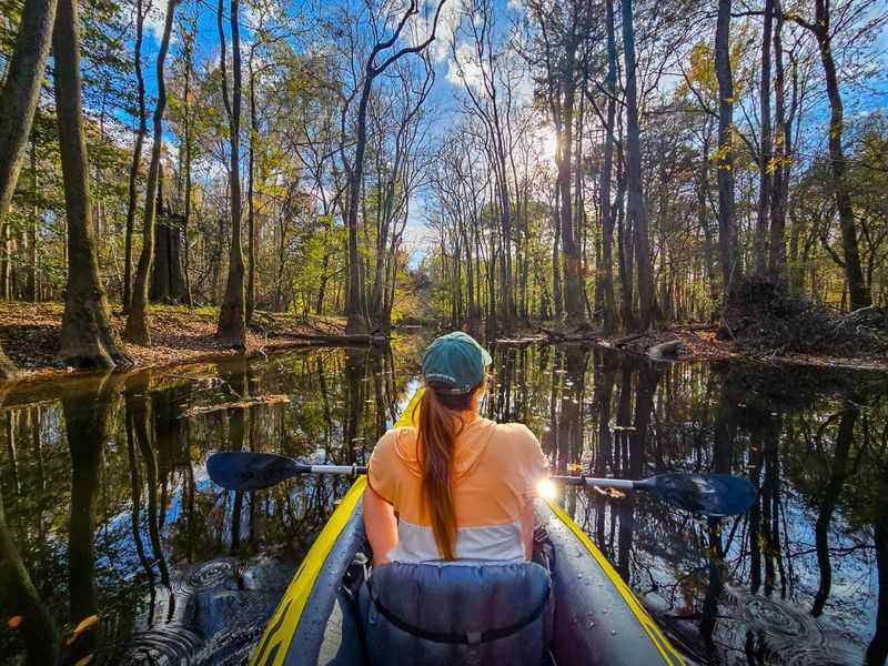 This Hidden National Park In South Carolina Is The Ultimate Fall Foliage Escape - Decor Hint Tips For Visiting During Peak Fall Season
