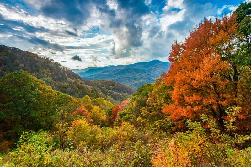 12 Reasons North Carolina's Mountain Towns Are The Perfect Peaceful Escape - Decor Hint Stunning Autumn Colors That Rival Any Painting