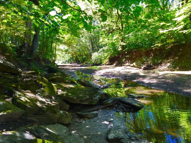 This Welcoming Kansas City Offers Lakeside Calm, Scenic Trails, And Heartfelt Festivals - Decor Hint Hiking The Hidden Springs Trail And Beyond