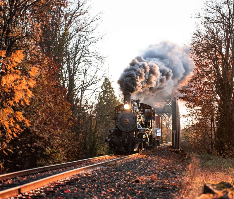 10 Oregon Train Rides Offering Breathtaking Coastal And Mountain Views - Decor Hint Santiam Excursion Trains