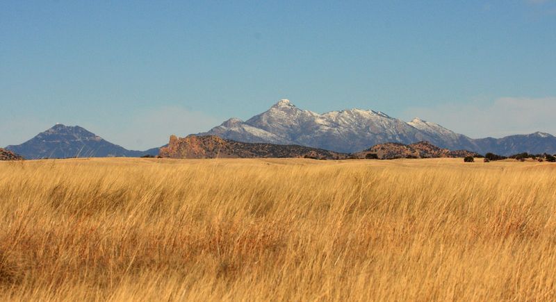 Patagonia