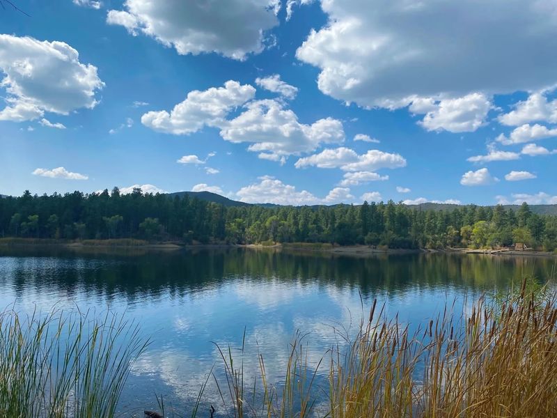 12 Beautiful Lakes Near Phoenix That Locals Hope Tourists Never Discover - Decor Hint Lynx Lake