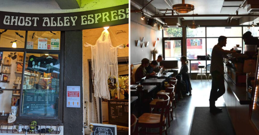 Witchs Brew Coffee Crawls That Make Washington Cafes Extra Enchanting - Decor Hint