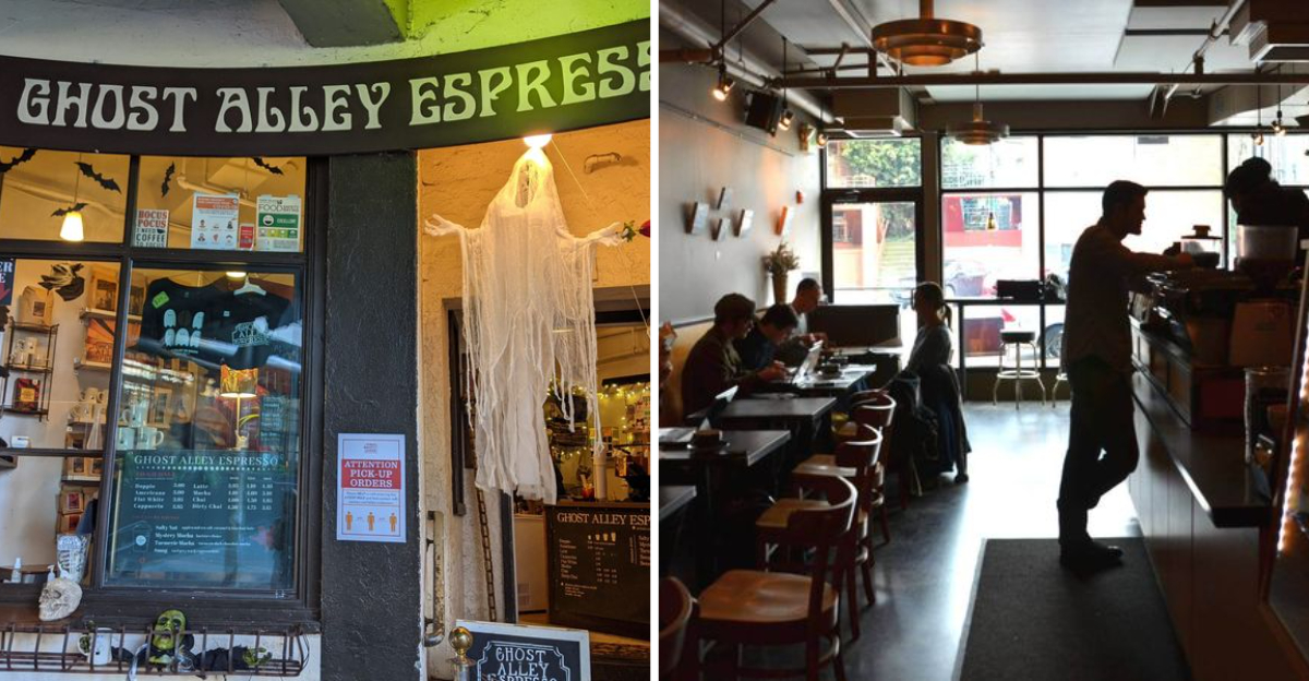 Witchs Brew Coffee Crawls That Make Washington Cafes Extra Enchanting - Decor Hint
