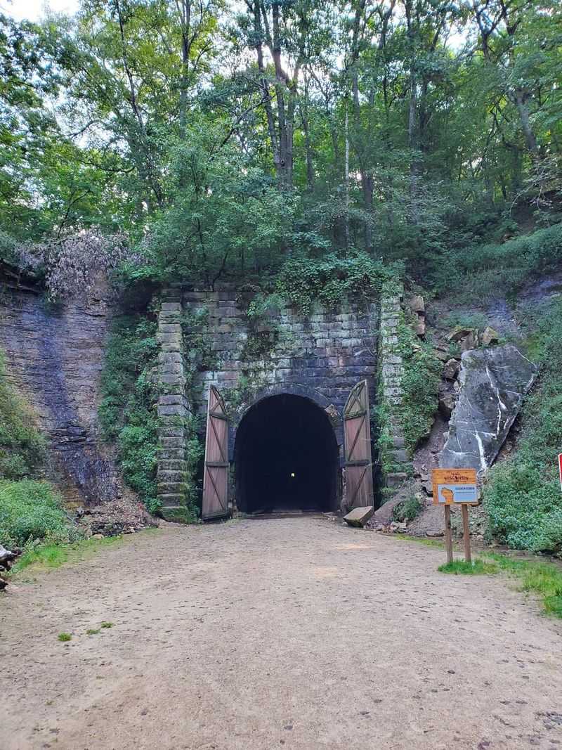 12 Things You Didn't Know About Wisconsin's Most Unique Tunnel The Stewart Tunnel - Decor Hint Surrounded by Scenic Limestone Bluffs