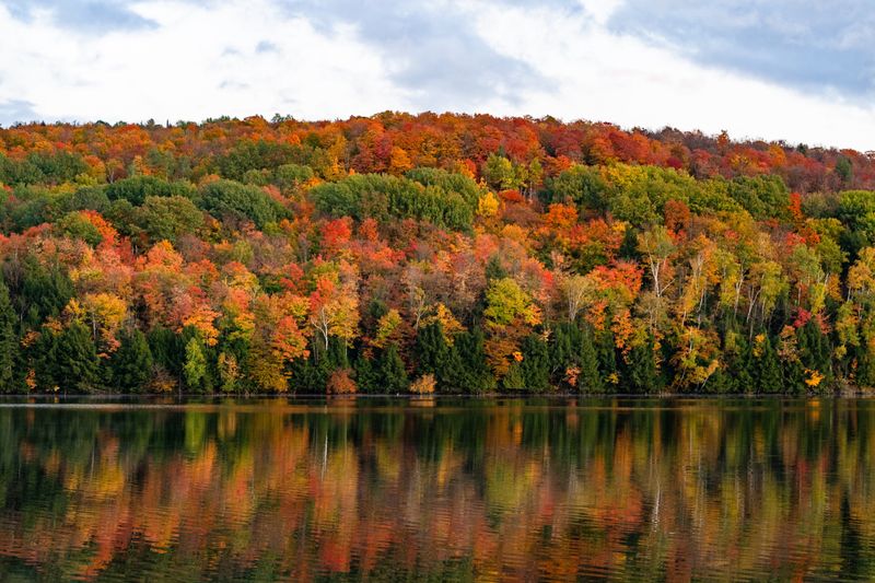 Forest Walks And Ocean Views Within City Limits