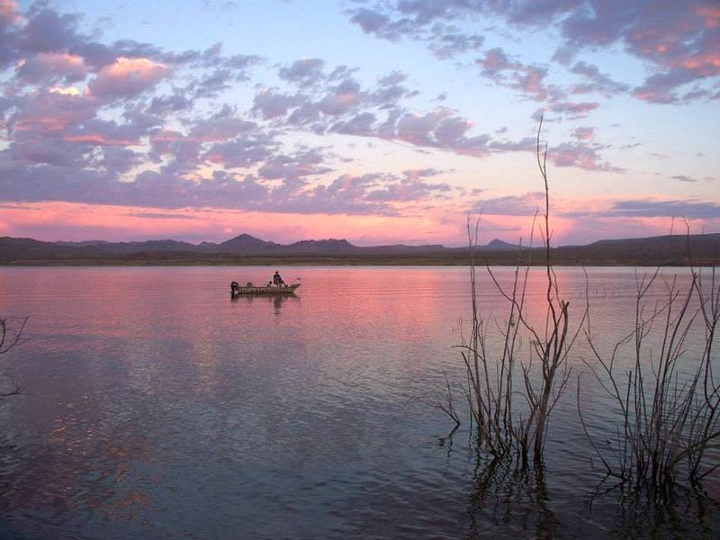 16 Off-The-Radar Lakes In Arizona Worth Discovering - Decor Hint Alamo Lake
