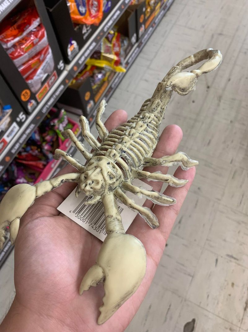 Arizona's Favorite Desert Halloween Landscapes You Can't Miss - Decor Hint Scorpion & Snake Skeletons