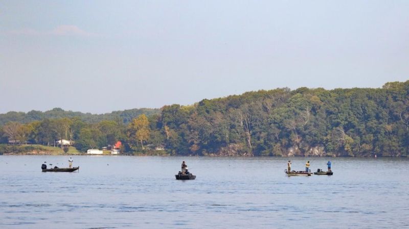 Wheeler Lake at Decatur
