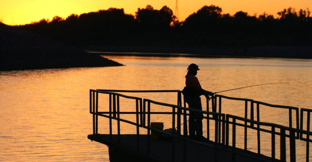 10 Alabama Catfish Spots Where Locals Always Gather - Decor Hint