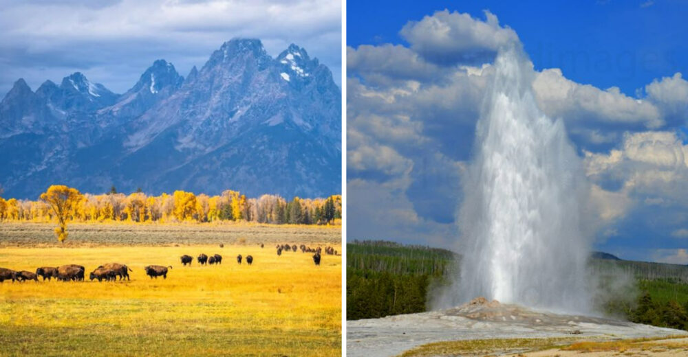 10 Must Do Experiences On Your Wyoming Bucket List - Decor Hint