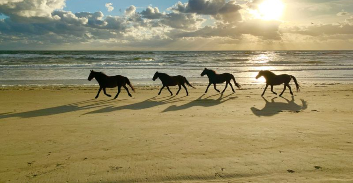 10 Scenic North Carolina Weekend Getaways For A Relaxing Escape - Decor Hint