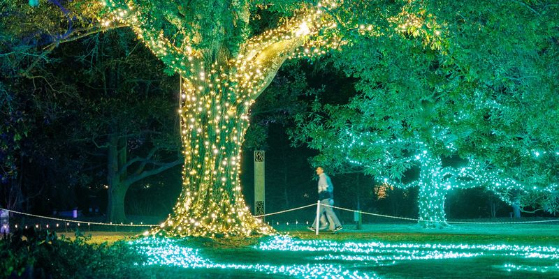 Holiday Wonders at the Garden
