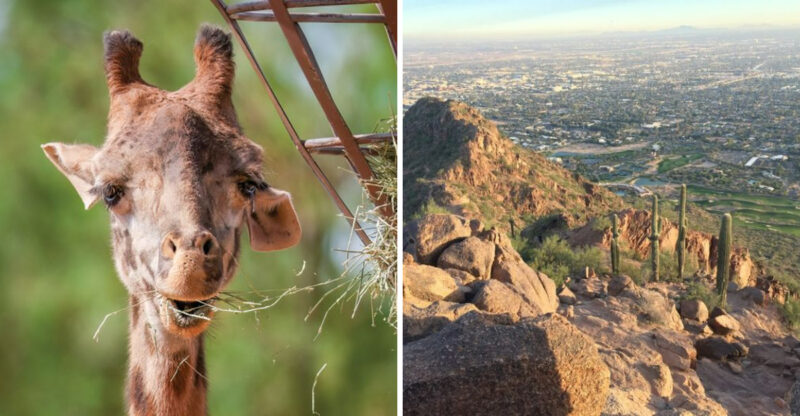 14 Fun Things To Do In Phoenix And Scottsdale