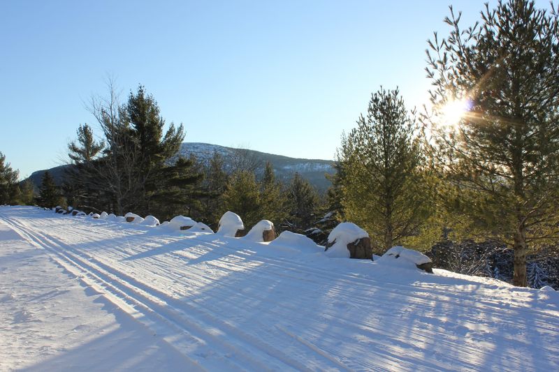 Snow‑Shoe Or Winter Hike In Acadia