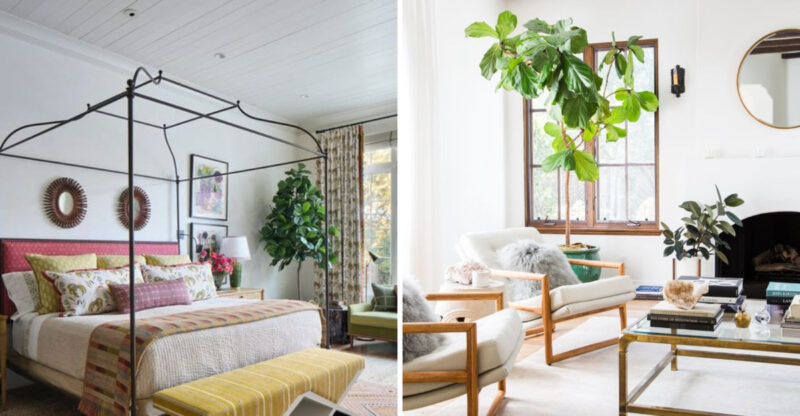 Bold Maximalist Decor Ideas That’ll Make Your California Home Pop Without The Chaos