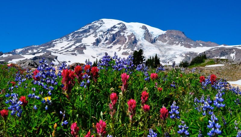Mount Rainier