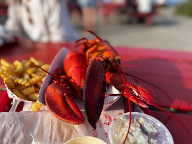 The Lobster Shack At Two Lights
