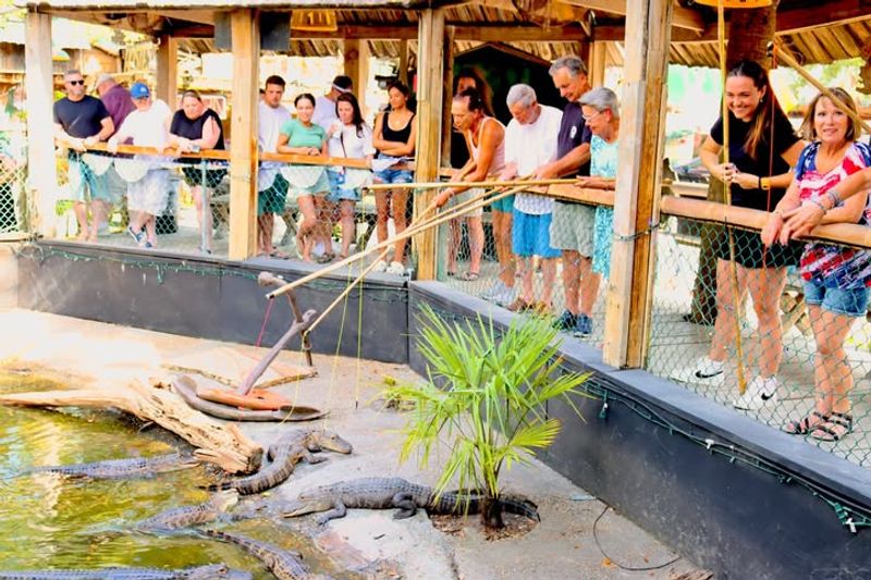 Gator Lagoon Adds Wild Fun