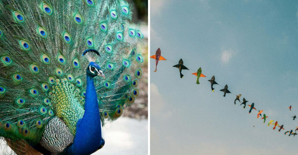 7 California Laws That Still Confuse Visitors - Decor Hint