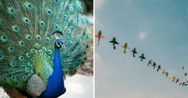 7 California Laws That Still Confuse Visitors