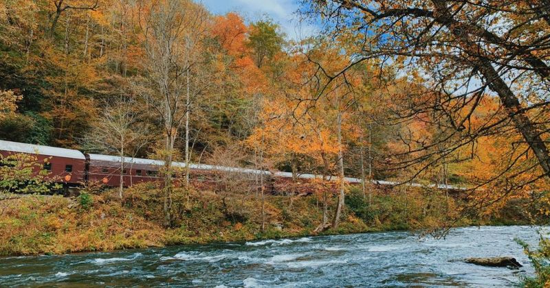 9 North Carolina Train Rides With Beautiful Fall Views - Decor Hint Great Smoky Mountains Railroad – Nantahala Gorge Excursion